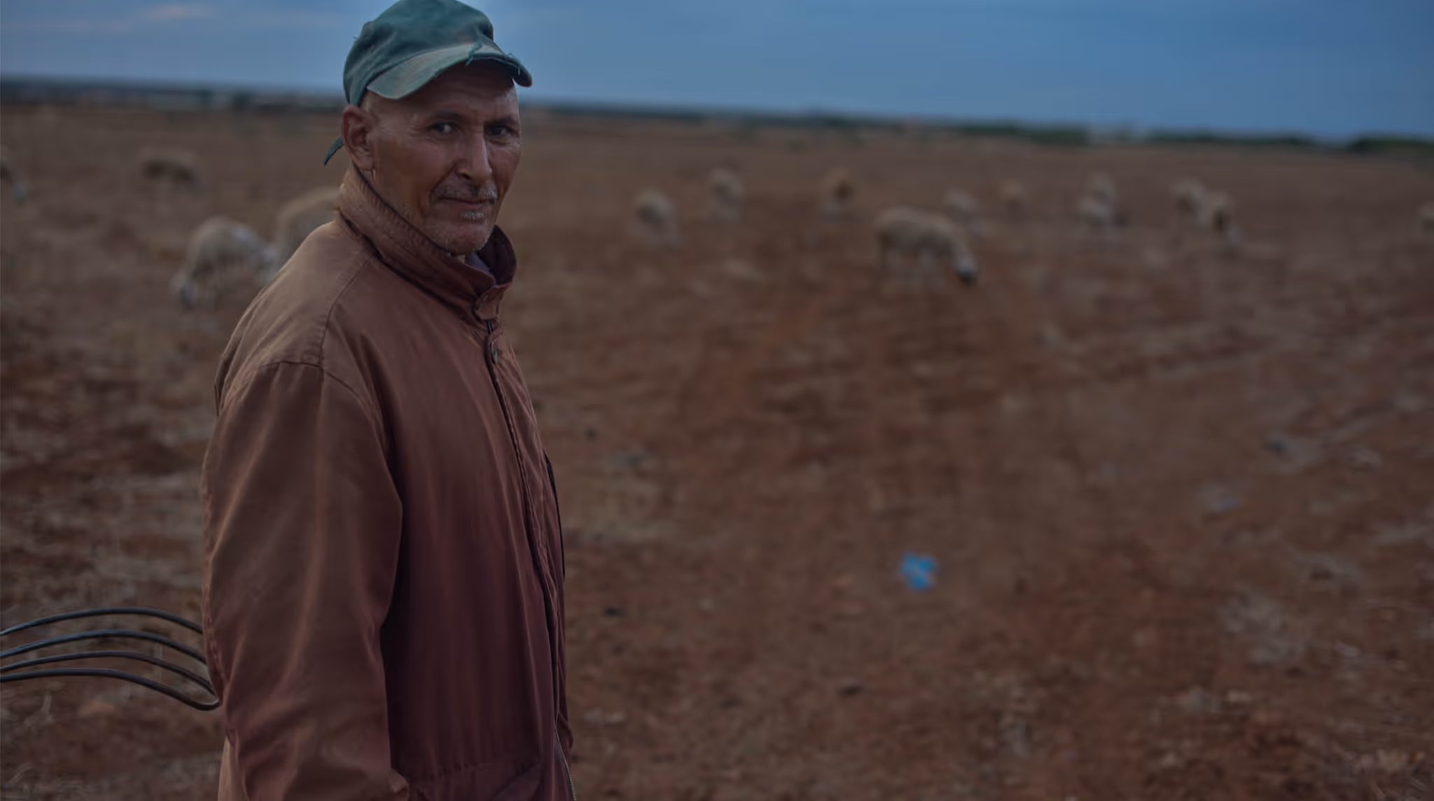 Fårehyrde fra Marokko